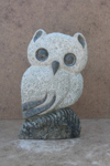title:'Tariri Mashaire, Wise Owl'